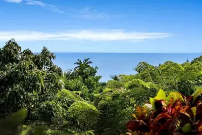 Image de Captain Cook Hide Away