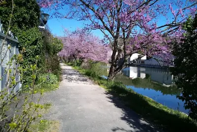 Image de Ma maison au bord de l'eau