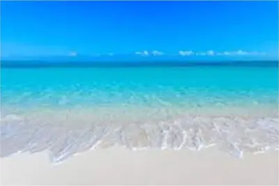 Seashell Vaca unit 2.