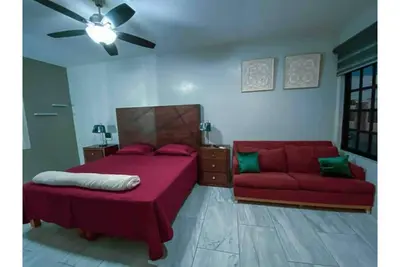 Image de The King's Comfort Flowers