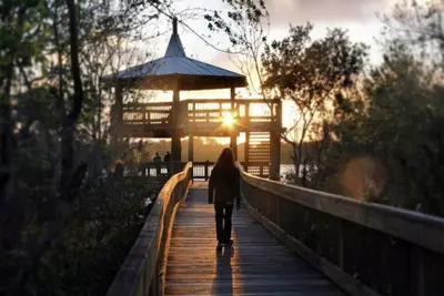 Image de The Bird's Nest *Monthly Special*: Pet\/Family Friendly, 10 mins to Dt by Sawgrass Park