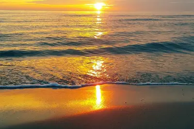 Image de Viareggio all seasons