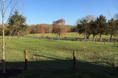Image de Country Bungalow close to Charlottesville, Wineries & Breweries