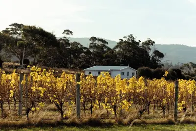 Image de *New* Pip's Place at Lisdillon Vineyard