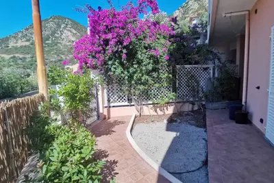 Ground floor apartment with small garden pets allowed