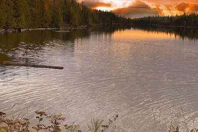 Image de Sleeping Bear Cottage - a peaceful retreat in the woods