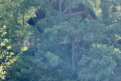 Image de Secluded Cozy Cabin in the Trees