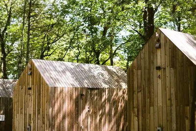Image de Tiny Cabin in the Woods