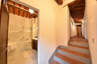 Image de Leaky Mansion Cells