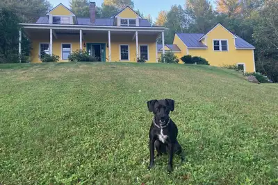 Image de Yellow House on the Hill, 21 Acres, Views, Woodstock Getaway, Dog-friendly