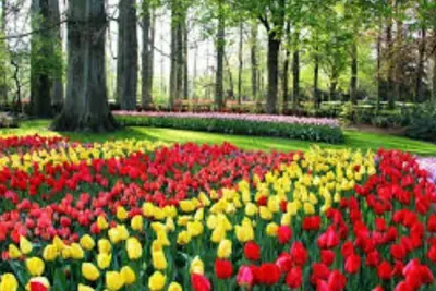 Image de 4 Bedroom property near the woods and rive