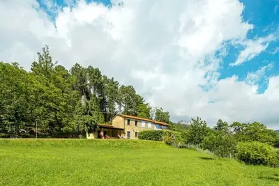 the house in the woods! suitable for families