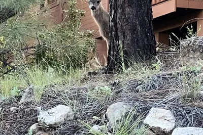 Image de Garbage fadfads