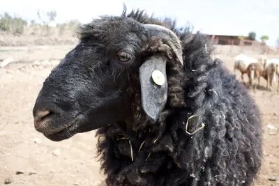 Image de Location-Standard-Salle de bain privée-Terrasse-Wohnung Drago