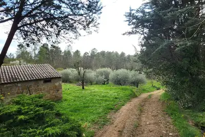 Image de La Magnanerie de berguier