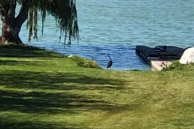 Image de Waterfront home 2 bedroom 1 bath on acreage