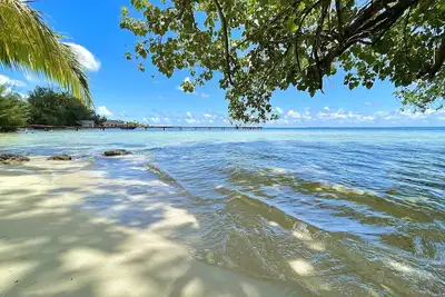 Image de 3br 3ba private beach Villa w\/ kayaks +1-acre-tropical garden