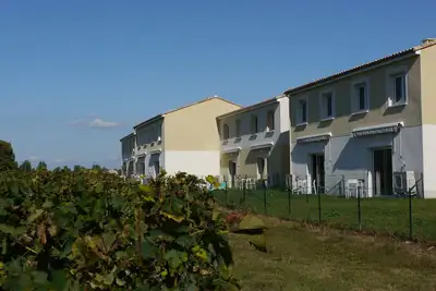 Image de Les Grands Vignobles