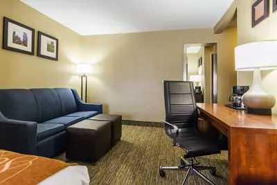 Image de Comfort Suites, Lansing - Located 30-minute to Chicago Midway Int'l Airport