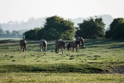 Camping les 3 Sablières