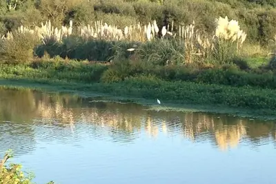 Image de Homerez - Appartement Ă Capbreton