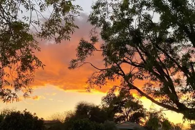 Image de New, Beautiful, Modern Central Scottsdale Casita