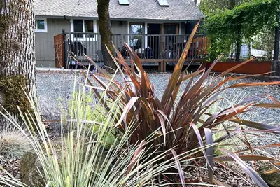 Image de Sonoma Wine Country Cottage for Monthly Rental--3 miles from Sonoma Square!