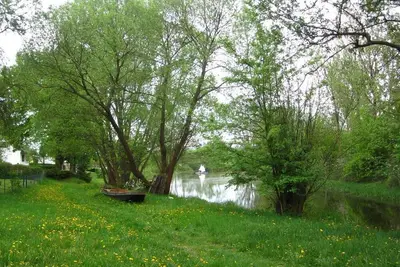 Image de Ferienhäuser Golinski im Unterspreewald am Neuendorfer See - 7 Ferienhäuser