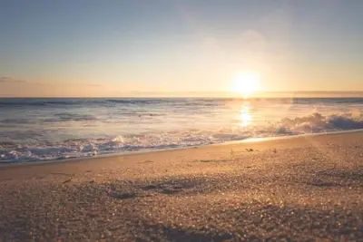 Image de Beach Cottage - Pet Friendly