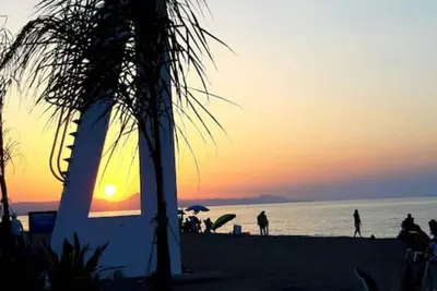 Image de The salamander