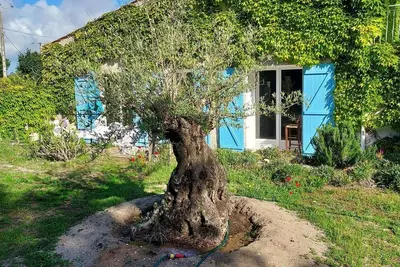 Image de Maison de vacances 'Villa Oleronaise' avec terrasse privée, balcon et jardin privé