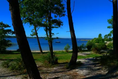 Image de Your unforgettable holiday in Sanguinet