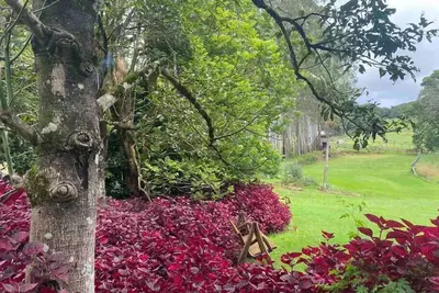 Image de Windaboo @ Rosebank Byron Hinterland Estate