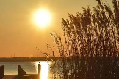 Image de Soundfront sunsets, private dock, 4 king beds, screened porch, deck & bedrooms.
