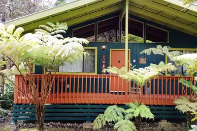 Image de The Jungalow is a charming renovated bungalow minutes from Volcano National Park
