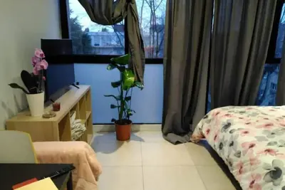 Image de Studio de l'orchidée