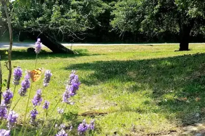 Image de The Simple Life - camp space w/wi-fi & flexibility