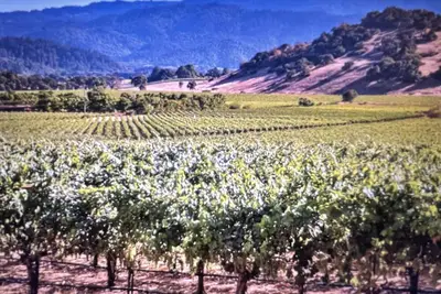 Image de Napa, Ca Sept 14-18, 2023 offers an on-site Golf, Wineries, Spa, Pool. . .