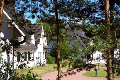 Image de In Einem Küstenwald Direkt an der Ostsee