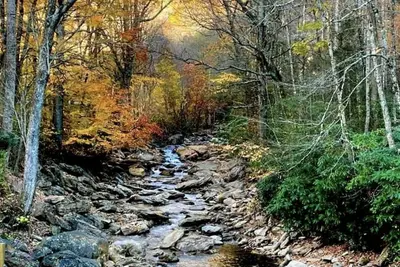 Image de ⭐️Cattail Creek, Hiking, Fishing, Creeks, Fireplace, Mtns, Scenic Views, WiFi⭐️