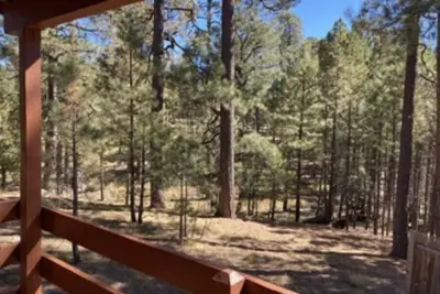 Image de Trout Springs Cabin #2