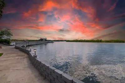 Image de Waterfront Paradise on Tampa Bay w\/Pool