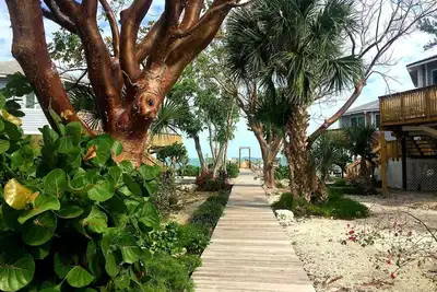 Image de Tropical Paradise