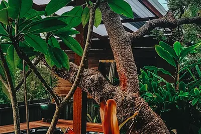Image de Bali Inspired Spa Villa