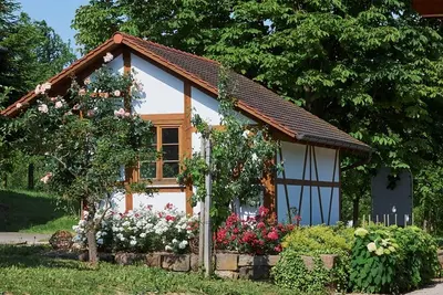 Image de Appartement de vacances \"Winzerhof Wörner\" avec vue sur la montagne, jardin partagé et Wi-Fi