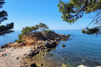 Image de dans une pinede au son des cigales et a 3 mm de la mer