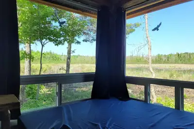 Image de Very Private, Secluded, Nature, Pet Friendly, No Neighbours -Red Pine cabin