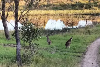 Image de Lambs Valley Guesthouse