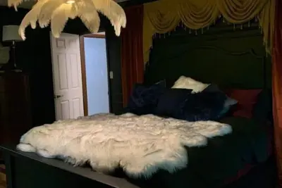 Image de The Canary of Clarksville