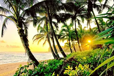 Image de Kbm Resorts | Free Car | Islands at Mauna Lani | Newly renovated ground floor 2-Bedroom Condo Iml-E4